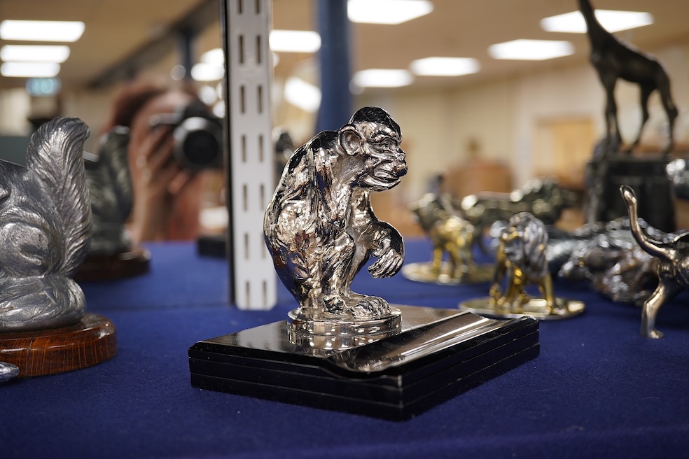 Seven chrome, brass and aluminium car mascots, etc. including an unusual and comical aluminium car mascot in the form of a squirrel holding a nut, together with a standing bear, an Art Deco winged head, a ram, a running